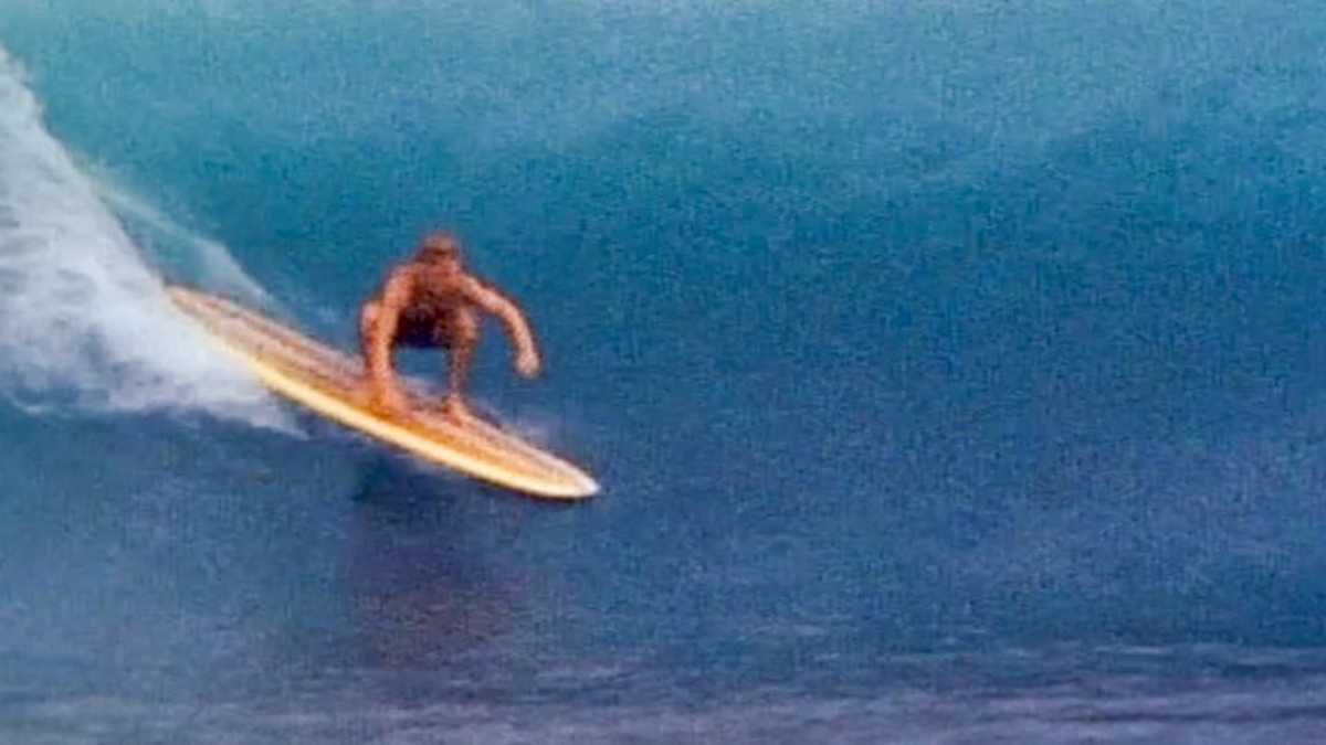 Falcon's Endless Summer' Hits the Waves