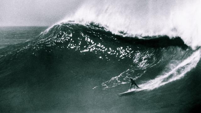 Jose Angel, Waimea. Photo: Pat Edwards