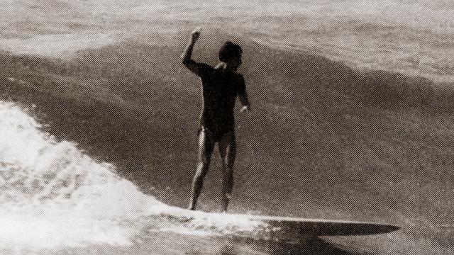 Joel de Rosnay, Biarritz