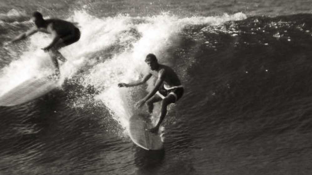 anthony van den heuvel, south african surfer