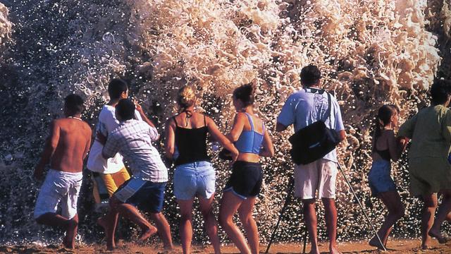 Wedge spectators, 1996. Photo: Ron Romanosky