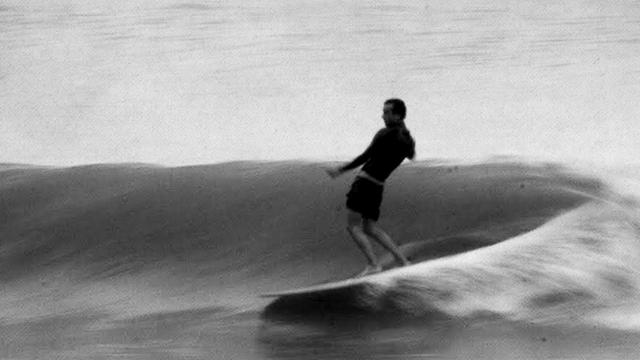 Alex Knost