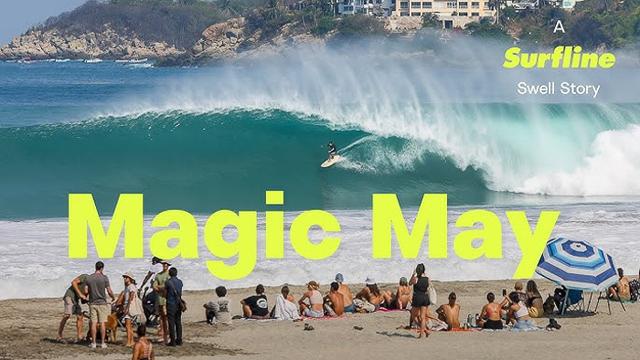 Surfline feature, 2023