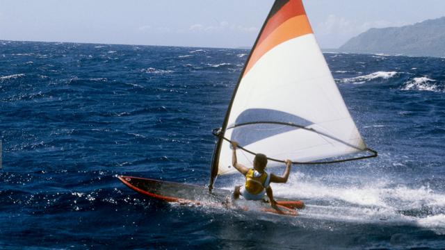 Arnaud de Rosnay, 1980. Photo: Bertrand Laforet