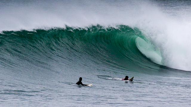 Malibu, Japan; discovered in 1963 by Tak Kawahara