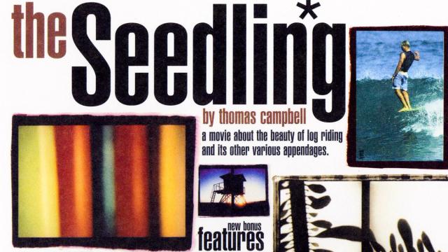 The Seedling, 1995