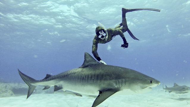 Mark Healey, 2011. Photo: Team Effort Films