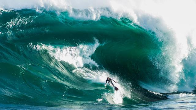 Shipstern Bluff, Tasmania