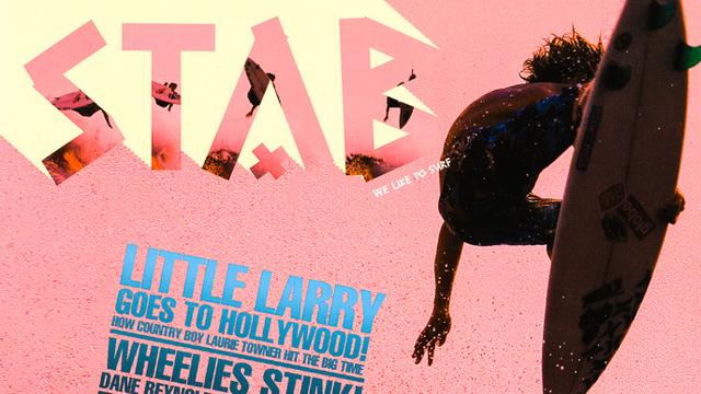 Stab cover, 2006