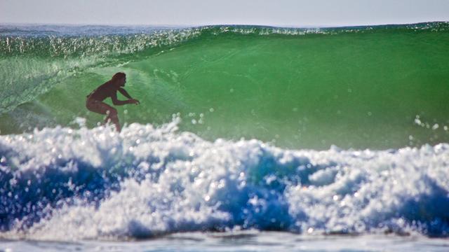 Joel Fitzgerald. Photo: Chris Prestige