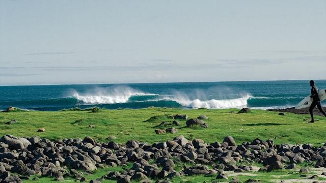 Lineup. Photo: Yazzy