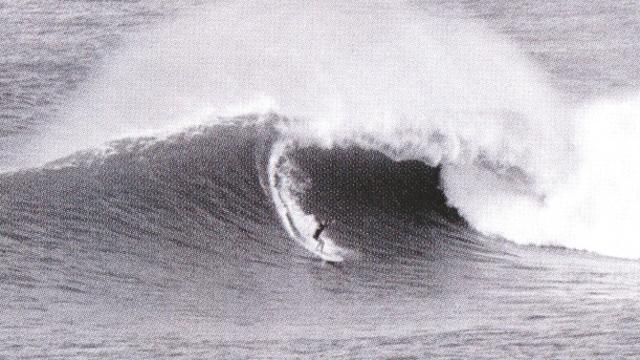 Scott Dillon, Fairy Bower. Photo: John Pennings