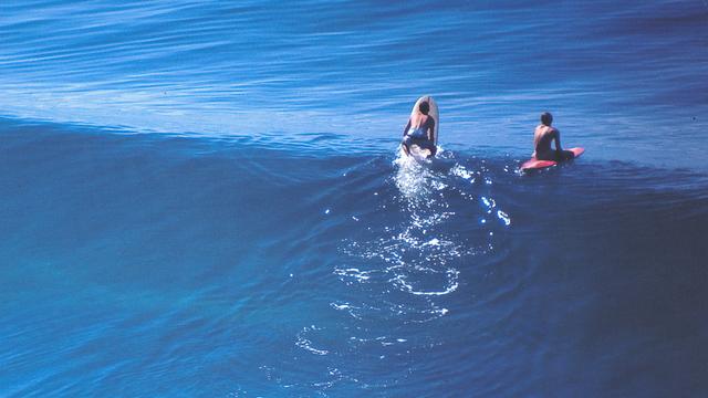 In the lineupe at Black Beach. Photo: Ron Stoner