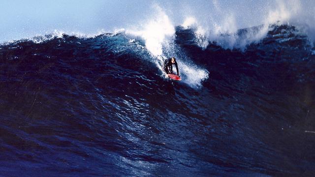 Bill Sharp, Todos Santos, 1993