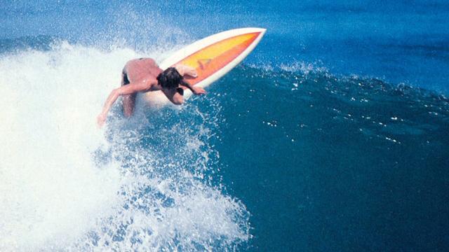 Narrabeen, 1981
