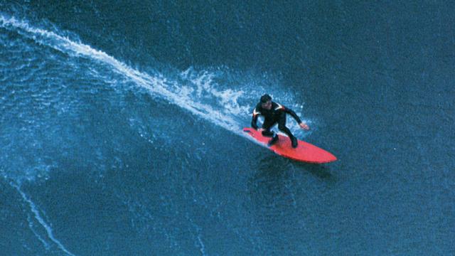 Palos Verdes Cove, 1983. Photo: James Cassimus