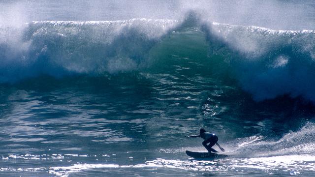 Reno Abellira. Photo: Brad Barrett