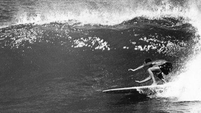 Harry Bold, Seal Point