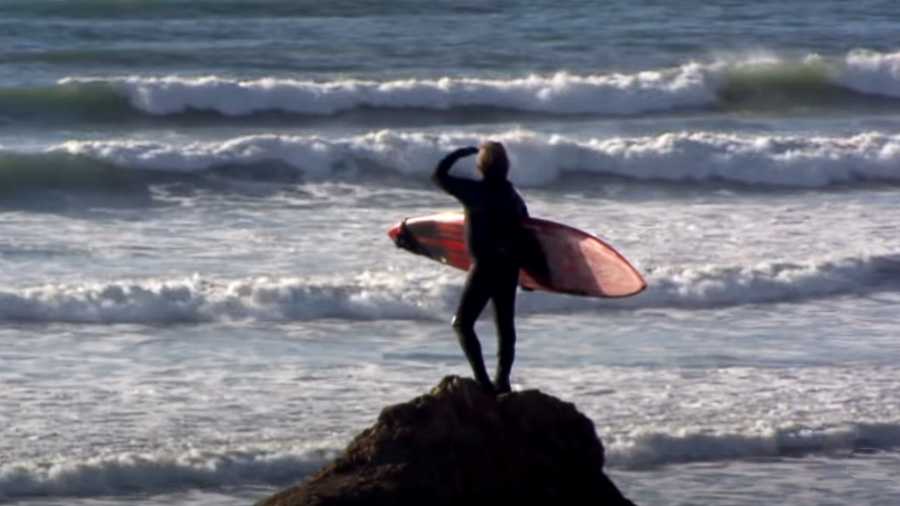 surfer dale webster during his surfing streak