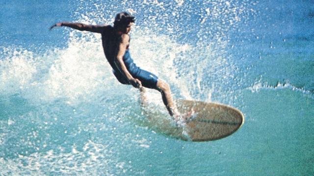 Wayne Lynch