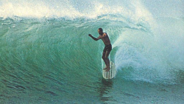 Ant van den Heuvel, Bay of Plenty. Photo: Ron Perrott