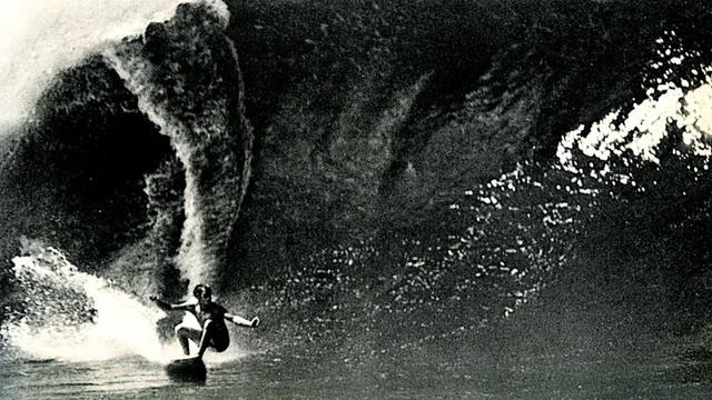 Jim Neece