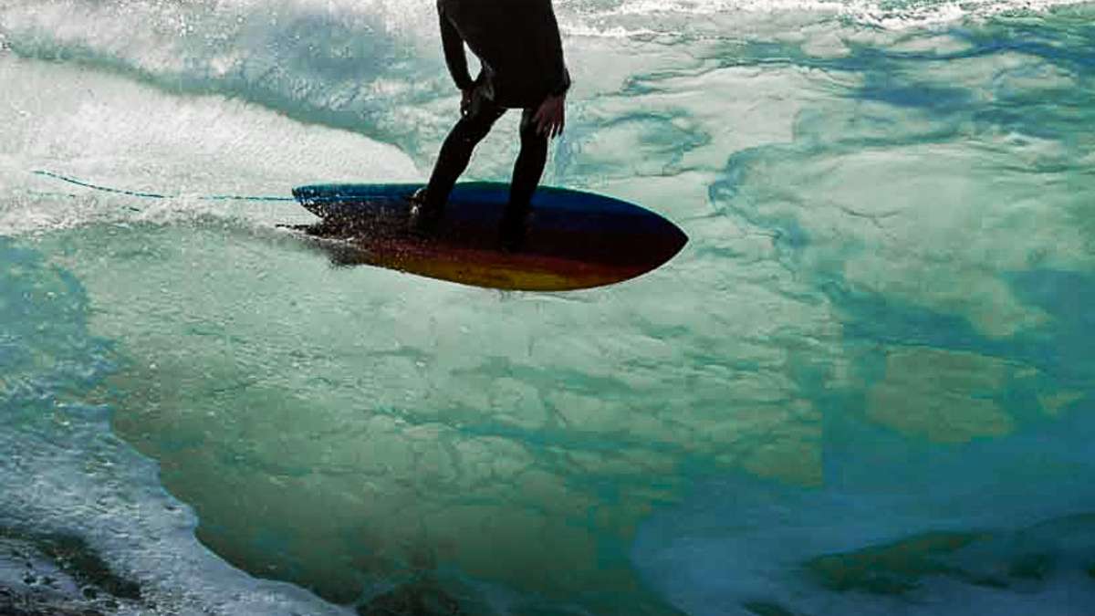Surfing Fish fish | Encyclopedia of Surfing