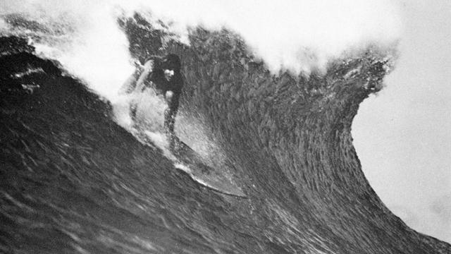 Craig Wilson. Photo: Steve Wilkings