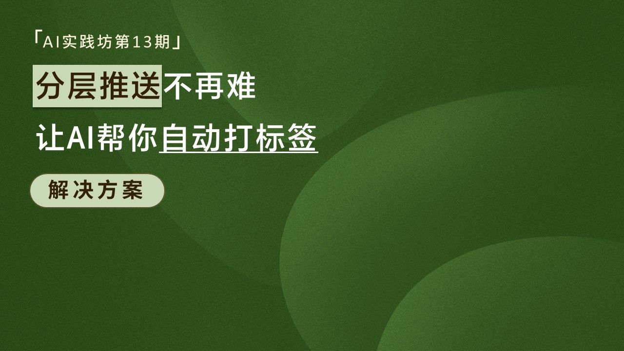 「AI实践坊第13期」让AI帮你自动打标签，分层推送不再难
