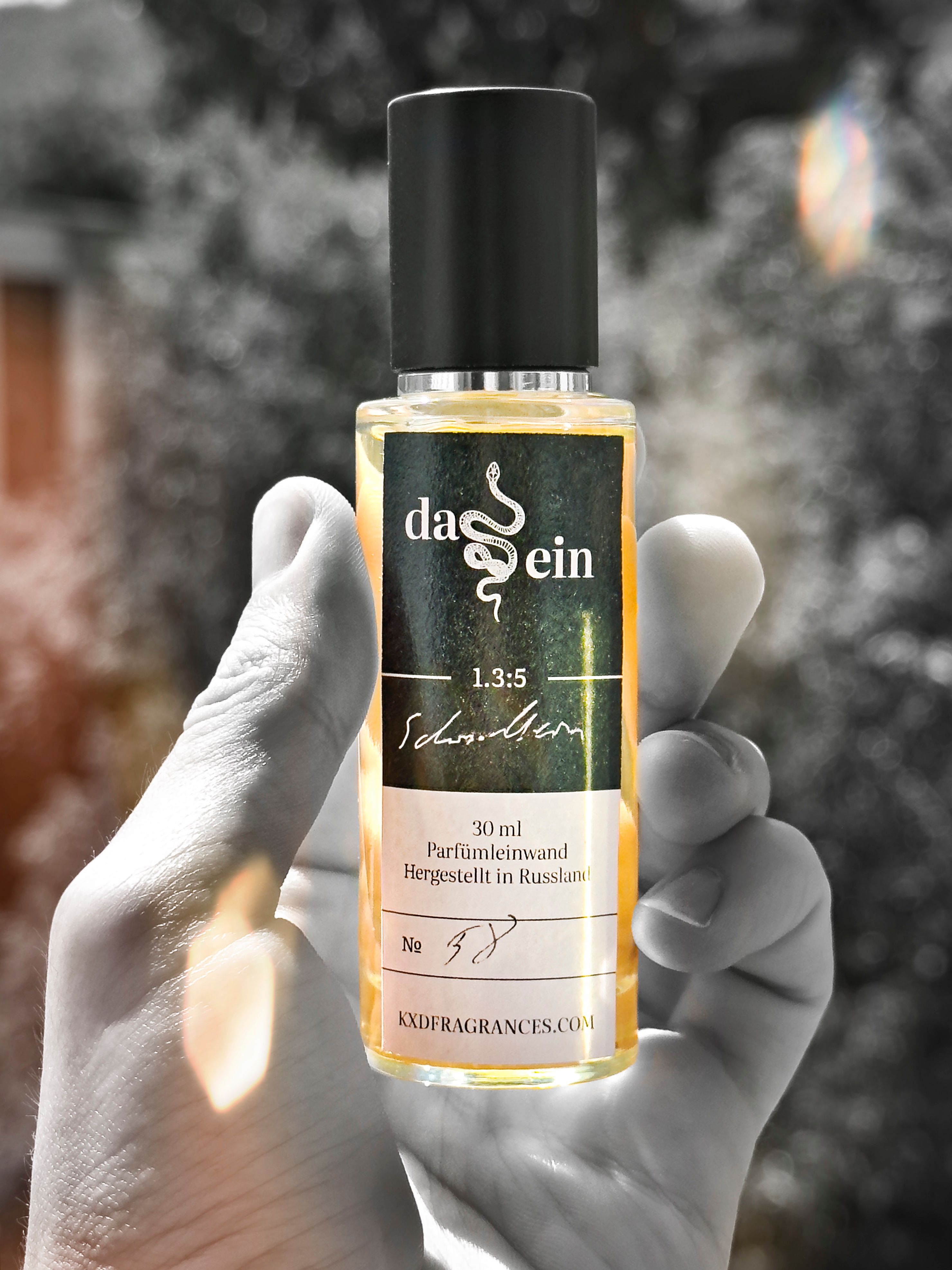 Изображение Schischkin