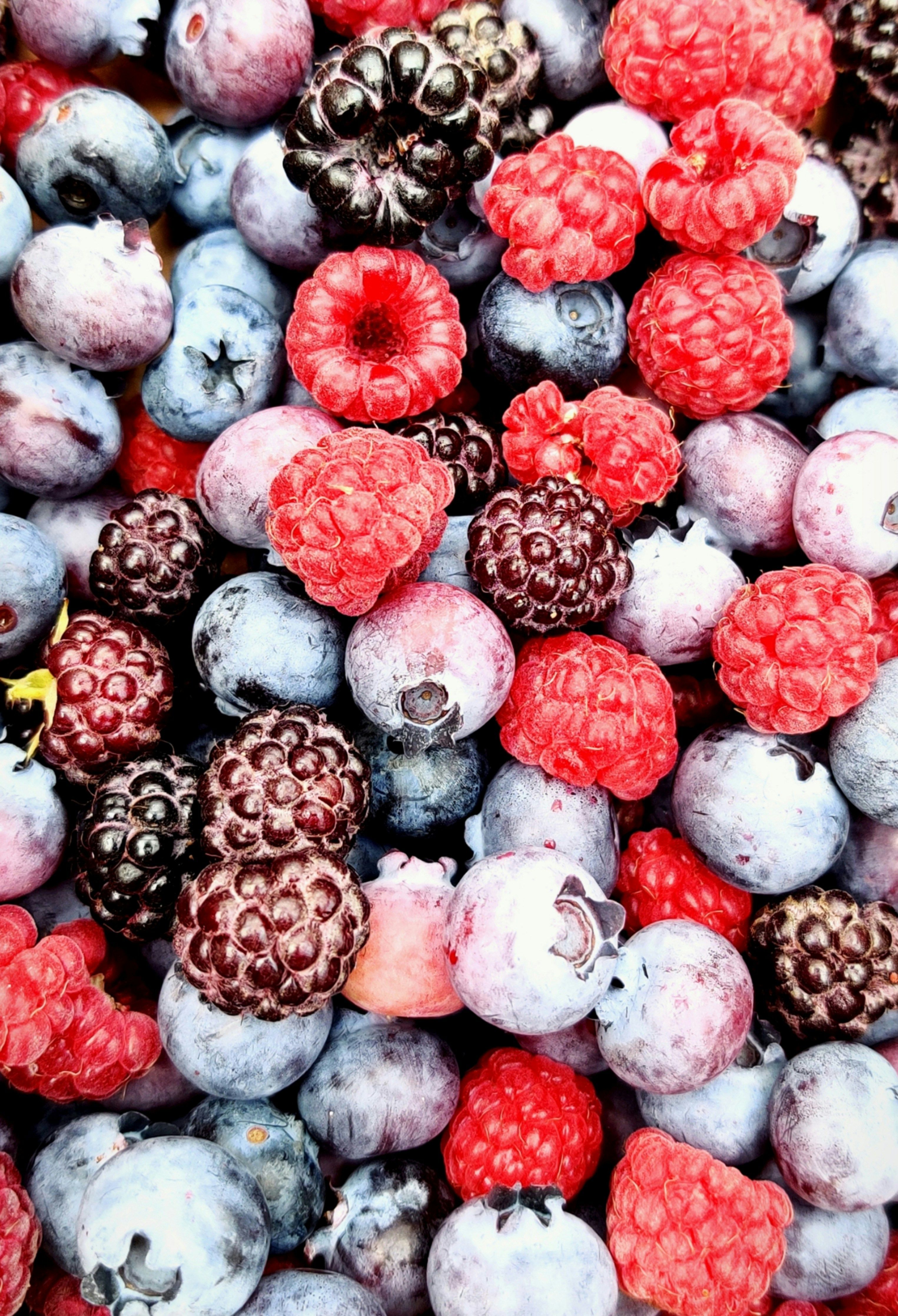 Berries-Paris​​​​‌﻿‍﻿​‍​‍‌‍﻿﻿‌﻿​‍‌‍‍‌‌‍‌﻿‌‍‍‌‌‍﻿‍​‍​‍​﻿‍‍​‍​‍‌﻿​﻿‌‍​‌‌‍﻿‍‌‍‍‌‌﻿‌​‌﻿‍‌​‍﻿‍‌‍‍‌‌‍﻿﻿​‍​‍​‍﻿​​‍​‍‌‍‍​‌﻿​‍‌‍‌‌‌‍‌‍​‍​‍​﻿‍‍​‍​‍‌‍‍​‌﻿‌​‌﻿‌​‌﻿​​​﻿‍‍​‍﻿﻿​‍﻿﻿‌‍﻿​‌‍﻿﻿‌‍​﻿‌‍​‌‌‍﻿​‌‍‍​‌‍﻿﻿‌﻿​﻿‌﻿‌​​﻿‍‍​﻿​﻿​﻿​﻿​﻿​﻿​﻿​﻿​‍﻿﻿‌‍‍‌‌‍﻿‍‌﻿‌​‌‍‌‌‌‍﻿‍‌﻿‌​​‍﻿﻿‌‍‌‌‌‍‌​‌‍‍‌‌﻿‌​​‍﻿﻿‌‍﻿‌‌‍﻿﻿‌‍‌​‌‍‌‌​﻿﻿‌‌﻿​​‌﻿​‍‌‍‌‌‌﻿​﻿‌‍‌‌‌‍﻿‍‌﻿‌​‌‍​‌‌﻿‌​‌‍‍‌‌‍﻿﻿‌‍﻿‍​﻿‍﻿‌‍‍‌‌‍‌​​﻿﻿‌‌‍‌‍​﻿‍‌​﻿‍​​﻿‌‌‌‍‌‌​﻿‌‌‌‍‌‍​﻿‌‌​‍﻿‌​﻿‌‍​﻿​‌‌‍‌​​﻿​‍​‍﻿‌​﻿‌​​﻿‌‌​﻿‍​‌‍​﻿​‍﻿‌​﻿‍​​﻿​‌​﻿‍‌‌‍‌‌​‍﻿‌​﻿‍​​﻿‌‌​﻿‌‍‌‍​﻿​﻿‍‌‌‍​‍​﻿​​‌‍‌‌​﻿​‌​﻿‍‌‌‍​‌​﻿​​​﻿‍﻿‌﻿‌​‌﻿‍‌‌﻿​​‌‍‌‌​﻿﻿‌‌﻿​​‌‍‌‌‌﻿​‍‌‍‌‍‌﻿‌‌‌‍﻿‌‌‍‌‌​﻿‍﻿‌﻿​​‌‍​‌‌﻿‌​‌‍‍​​﻿﻿‌‌‍﻿‍‌‍​‌‌‍﻿‌‌‍‌‌​﻿﻿﻿‌‍​‍‌‍​‌‌﻿​﻿‌‍‌‌‌‌‌‌‌﻿​‍‌‍﻿​​﻿﻿‌‌‍‍​‌﻿‌​‌﻿‌​‌﻿​​​‍‌‌​﻿​﻿‌​​‌​‍‌‌​﻿​‍‌​‌‍​‍‌‌​﻿​‍‌​‌‍‌‍﻿​‌‍﻿﻿‌‍​﻿‌‍​‌‌‍﻿​‌‍‍​‌‍﻿﻿‌﻿​﻿‌﻿‌​​‍‌‌​﻿​﻿‌​​‌​﻿​﻿​﻿​﻿​﻿​﻿​﻿​﻿​‍‌‍‌‍‍‌‌‍‌​​﻿﻿‌‌‍‌‍​﻿‍‌​﻿‍​​﻿‌‌‌‍‌‌​﻿‌‌‌‍‌‍​﻿‌‌​‍﻿‌​﻿‌‍​﻿​‌‌‍‌​​﻿​‍​‍﻿‌​﻿‌​​﻿‌‌​﻿‍​‌‍​﻿​‍﻿‌​﻿‍​​﻿​‌​﻿‍‌‌‍‌‌​‍﻿‌​﻿‍​​﻿‌‌​﻿‌‍‌‍​﻿​﻿‍‌‌‍​‍​﻿​​‌‍‌‌​﻿​‌​﻿‍‌‌‍​‌​﻿​​​‍‌‍‌﻿‌​‌﻿‍‌‌﻿​​‌‍‌‌​﻿﻿‌‌﻿​​‌‍‌‌‌﻿​‍‌‍‌‍‌﻿‌‌‌‍﻿‌‌‍‌‌​‍‌‍‌﻿​​‌‍​‌‌﻿‌​‌‍‍​​﻿﻿‌‌‍﻿‍‌‍​‌‌‍﻿‌‌‍‌‌​‍​‍‌﻿﻿‌