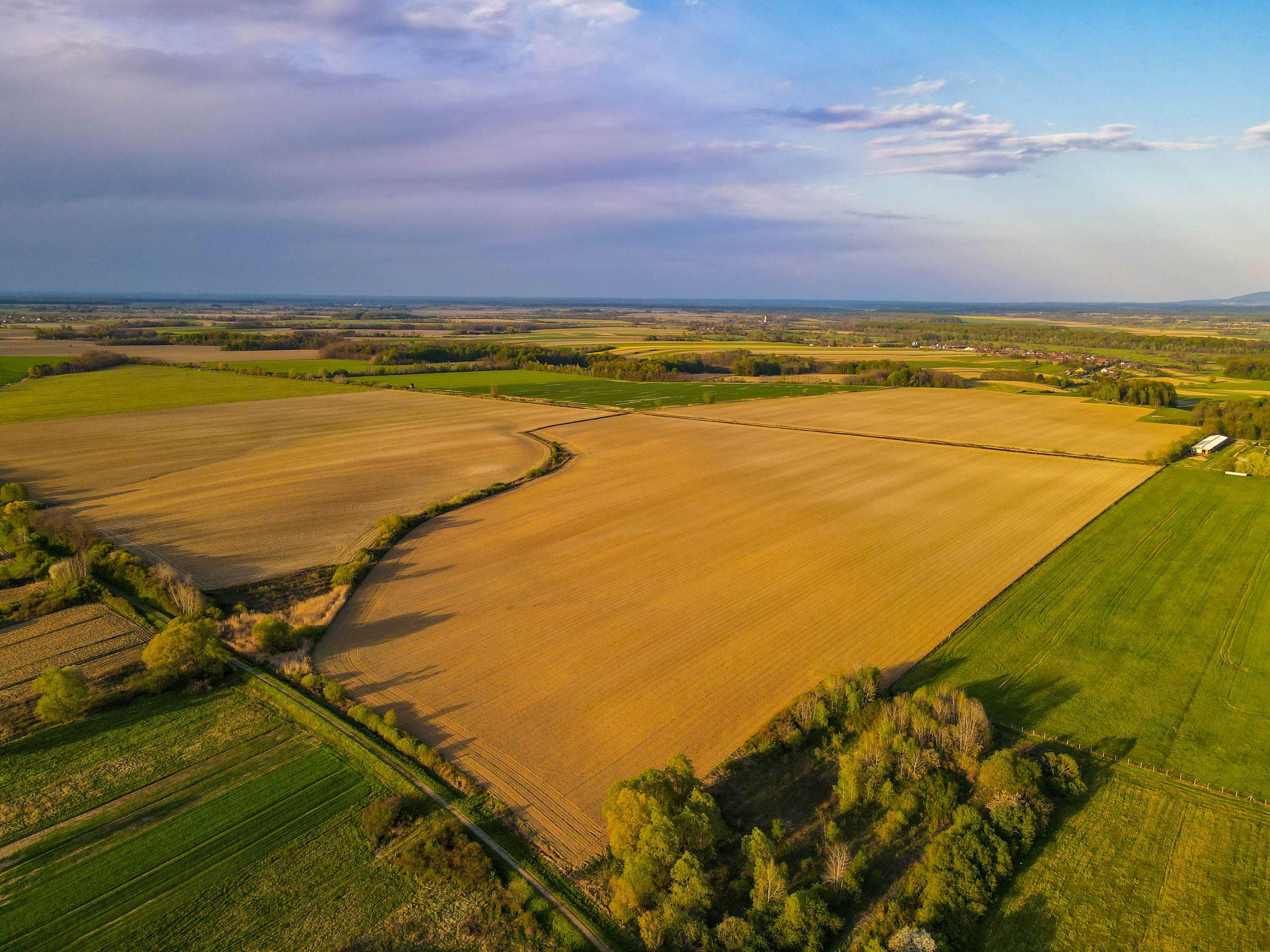 Agricultural estate surrounded by lush orchards