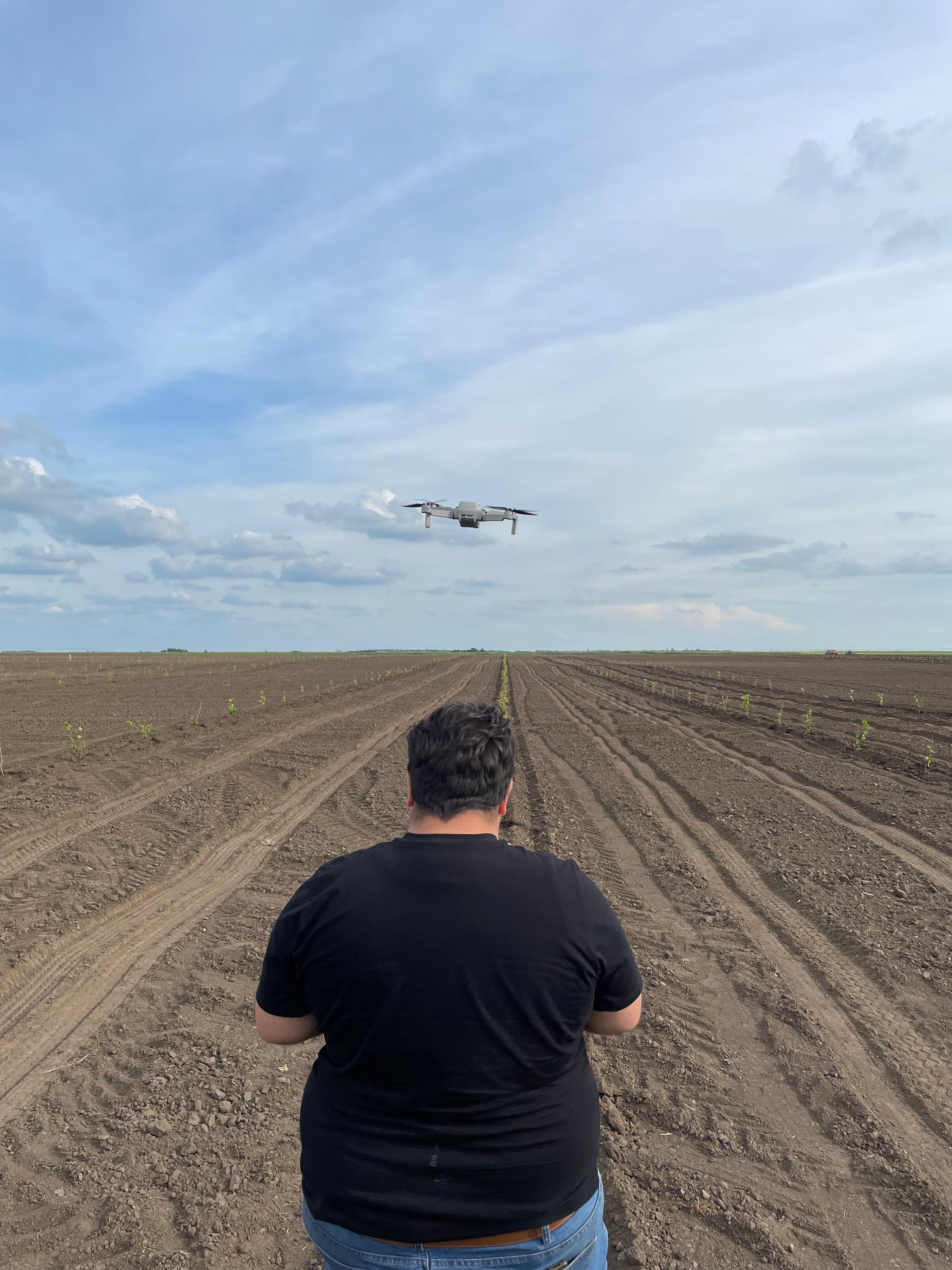Drone scanning of the soil at Treesury Hazelnut plantage