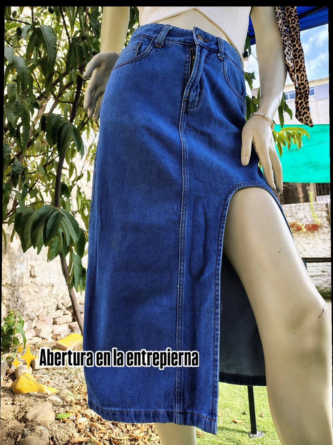 Imagen 6