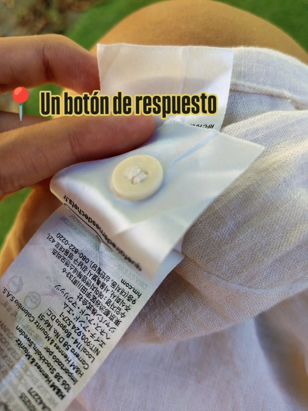 Imagen 6