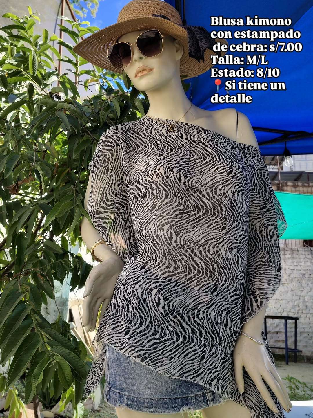 Imagen 1