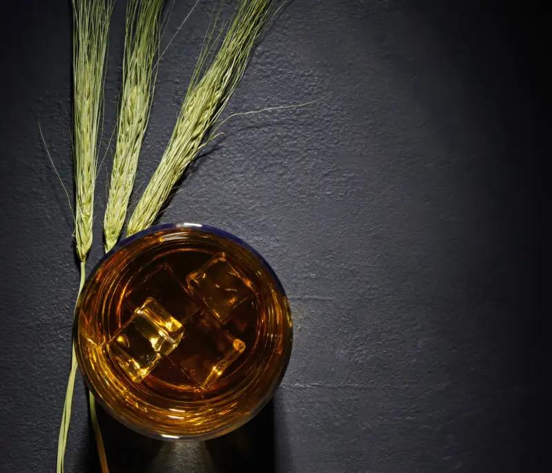 Bourbon on ice with barley