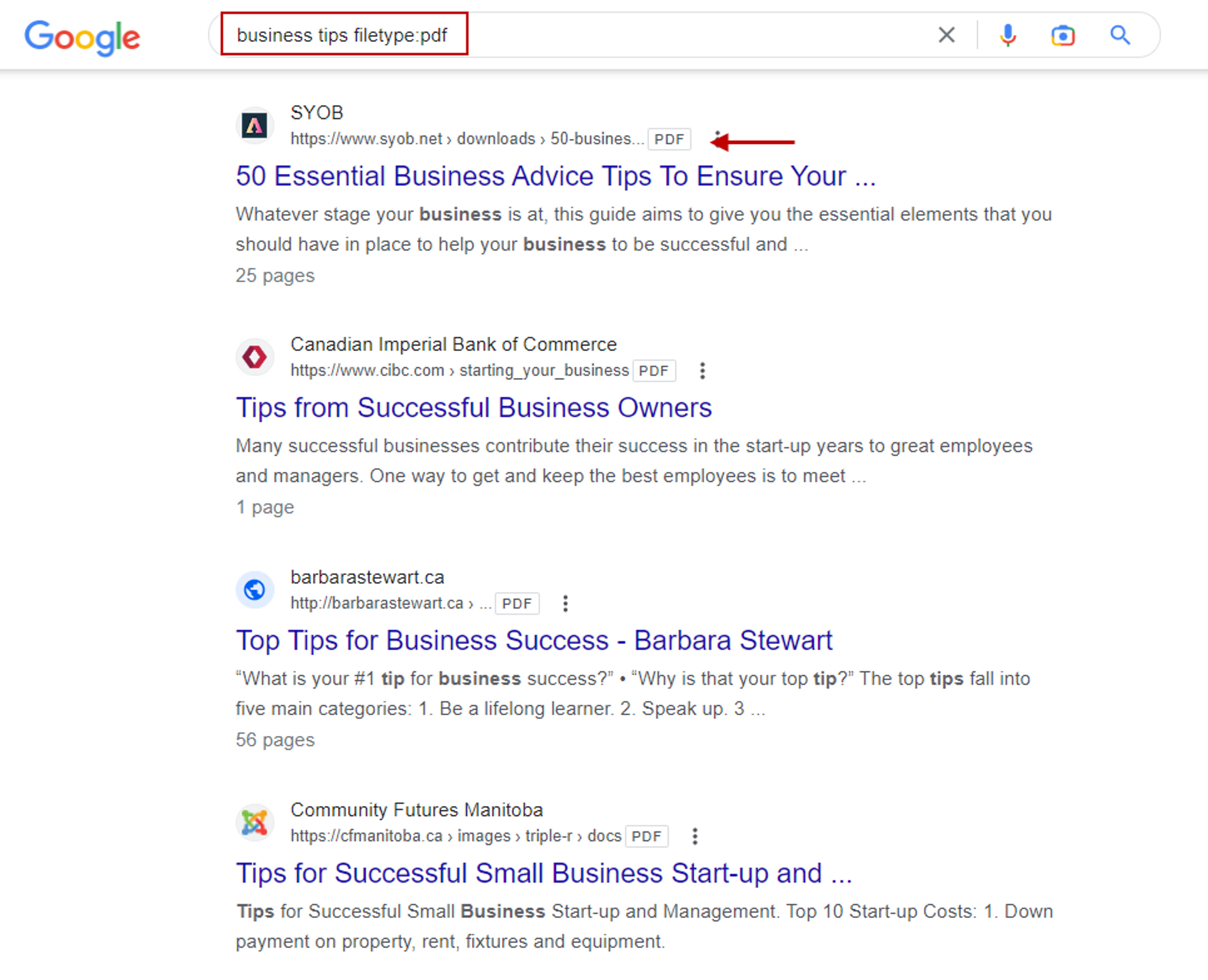 Search query and search page results for finding PDFs using Google 