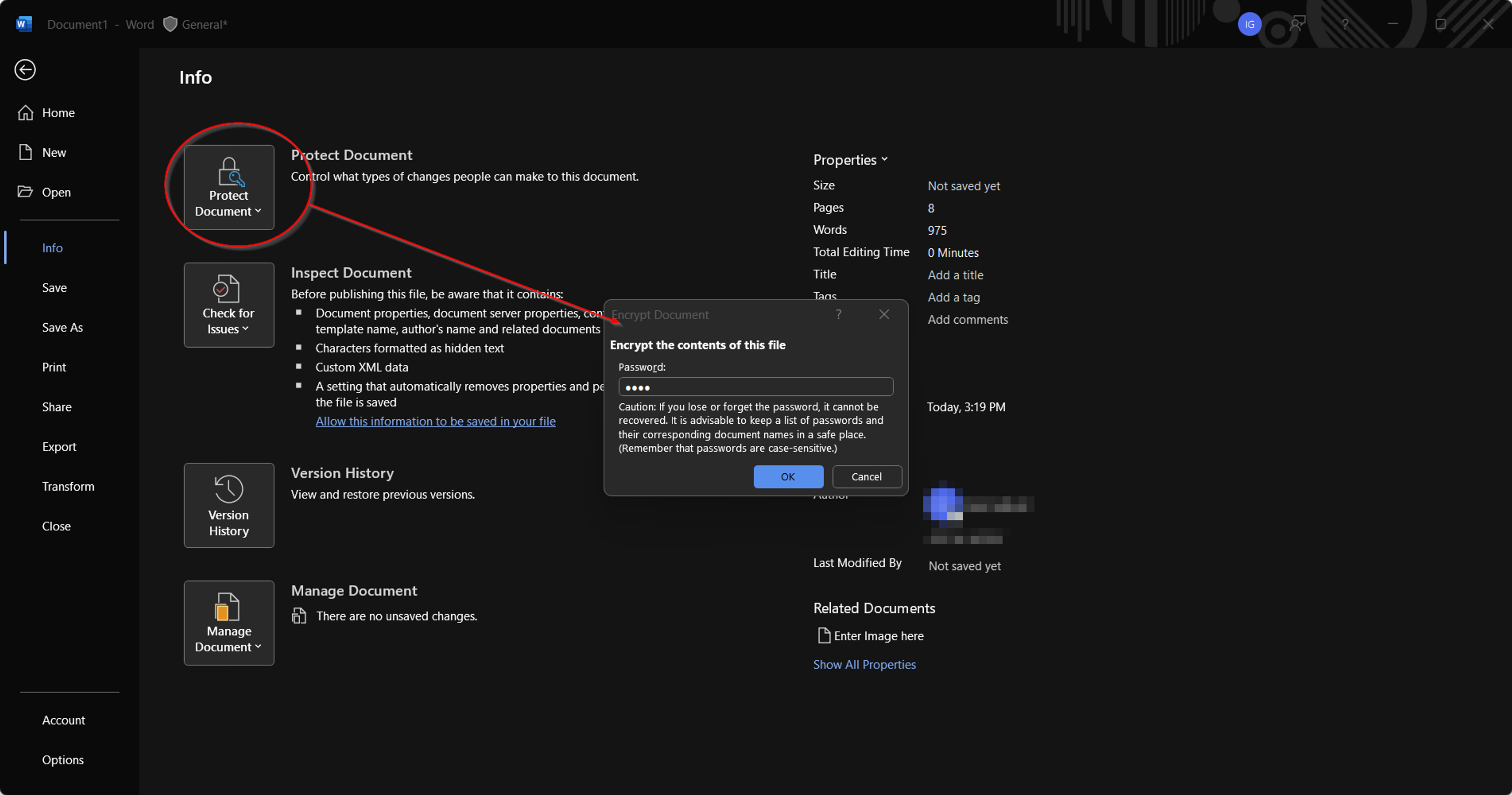 Steps to password protect a Word document on Windows
