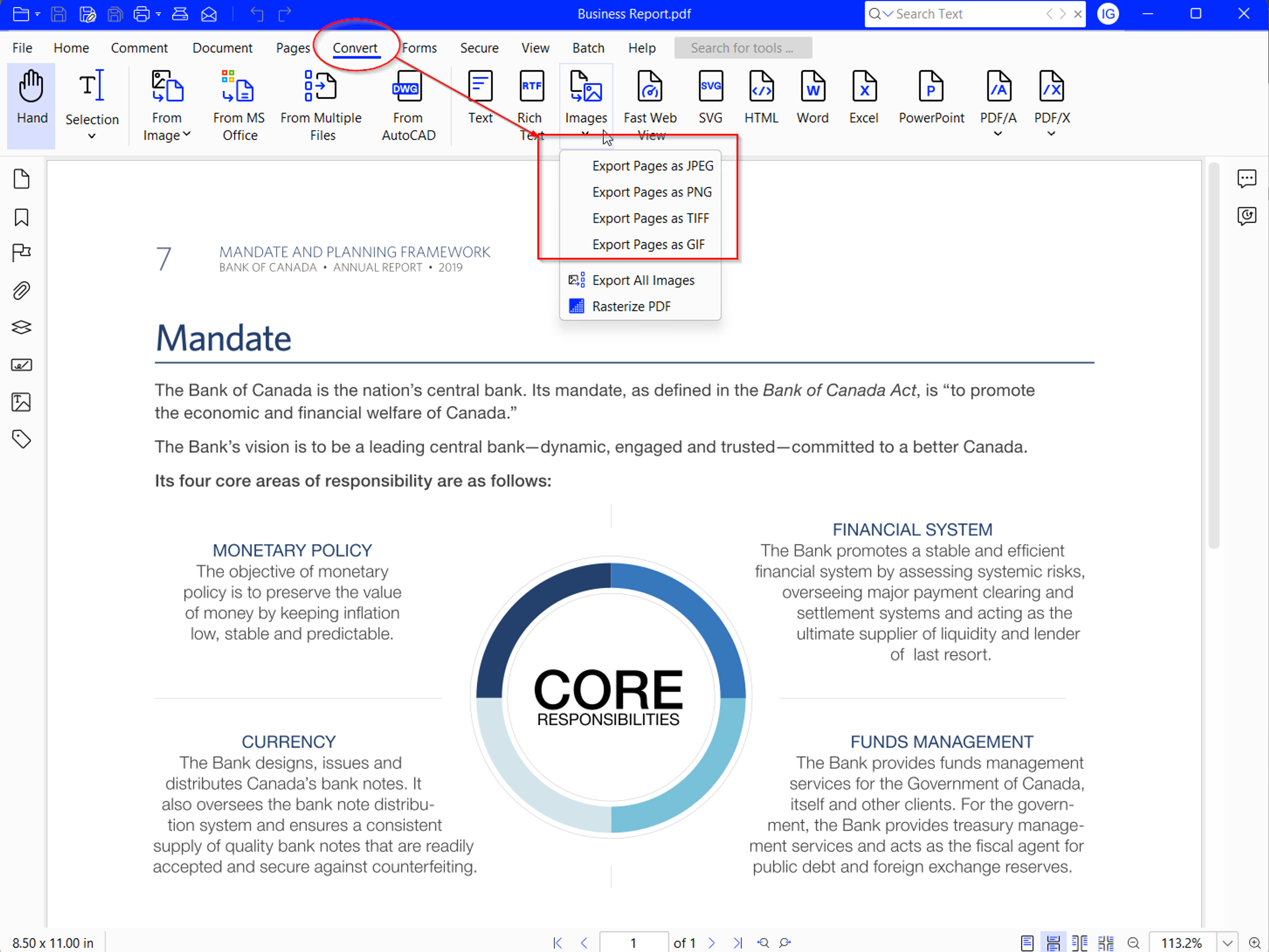 Converting a PDF into image to make it read-only using Xodo PDF Studio