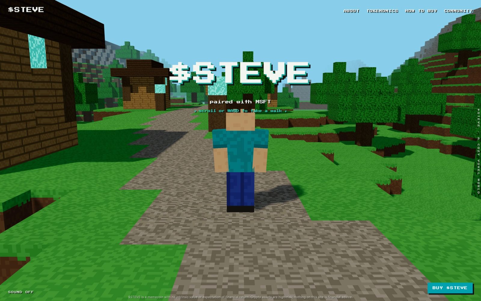 $STEVE desktop screen