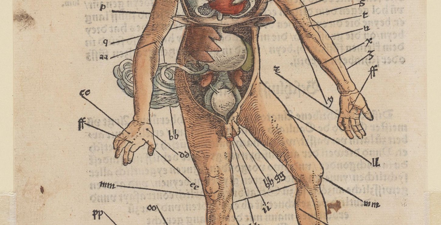 Viscera and Bloodletting Man, 1517, Attributed to Johannes Wechtlin, German, active c. 1506 - 1526.  Written by Hans von Gersdorff, German, 1455 - 1529.  Published by Johannes Schott, Strassburg, 1949-97-11b