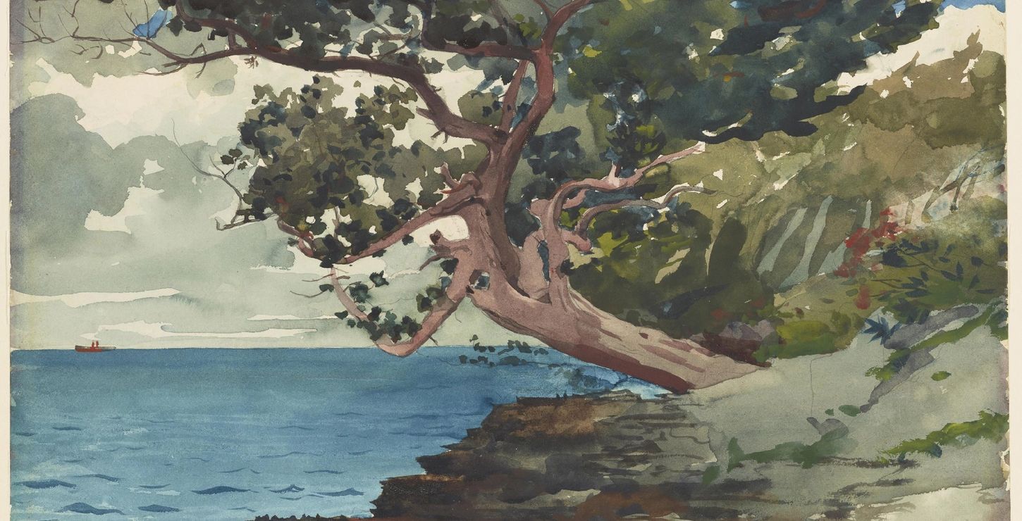 Bermuda, 1900, Winslow Homer, American, 1836 - 1910, 1939-7-1