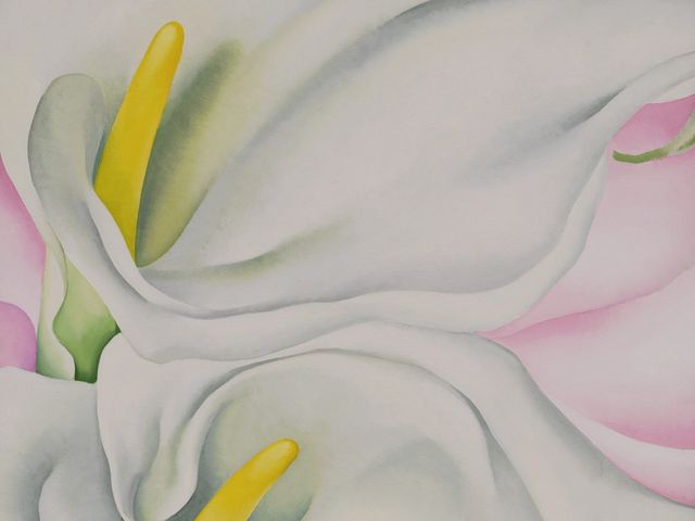 Two Calla Lilies on Pink, 1928, by Georgia O'Keeffe