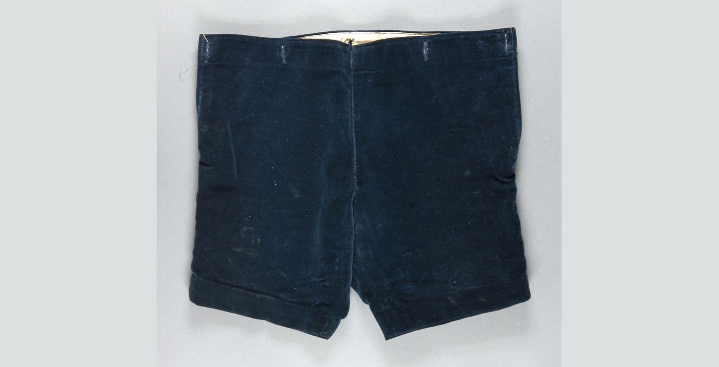 Navy blue silk velvet shorts.