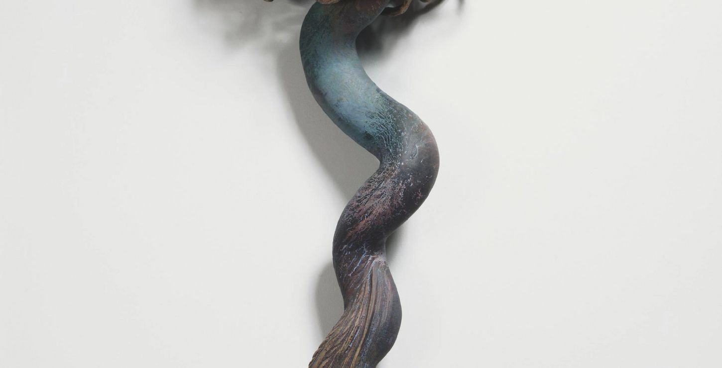 A Snake without a Head Is Just a Rope, 1994, Syd Carpenter, American, born 1953, 1995-19-1