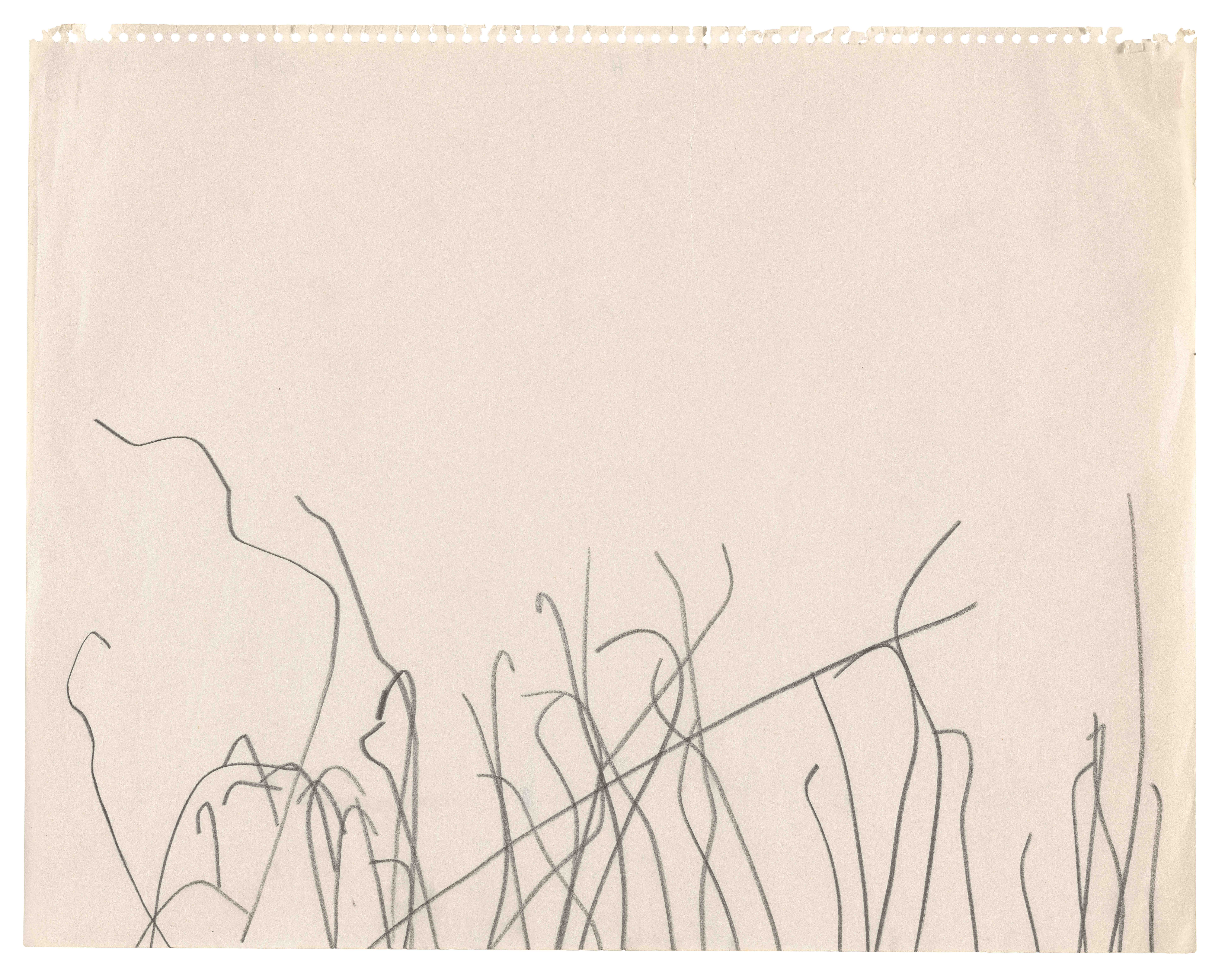 Ellsworth Kelly: Reflections on Water and Other Early Drawings