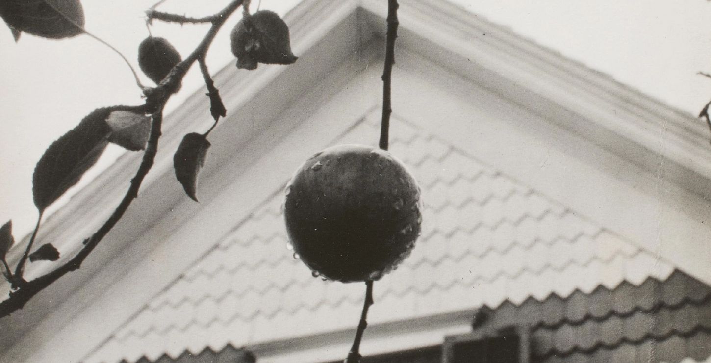 Gable and Apples, 1922, Alfred Stieglitz, American, 1864 - 1946, 1949-18-56