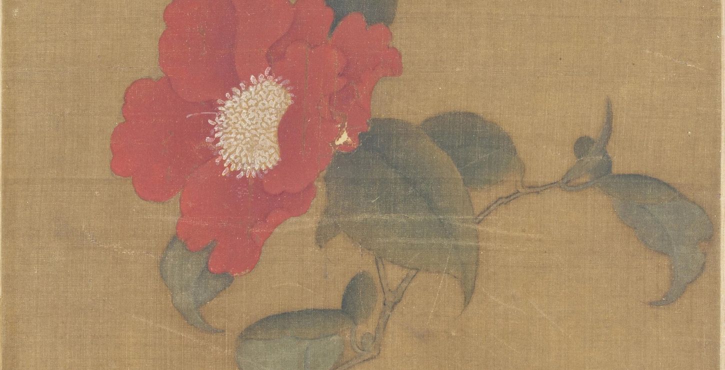 Red Camellia, 1368-1644, Artist/maker unknown, Chinese, 1929-40-1