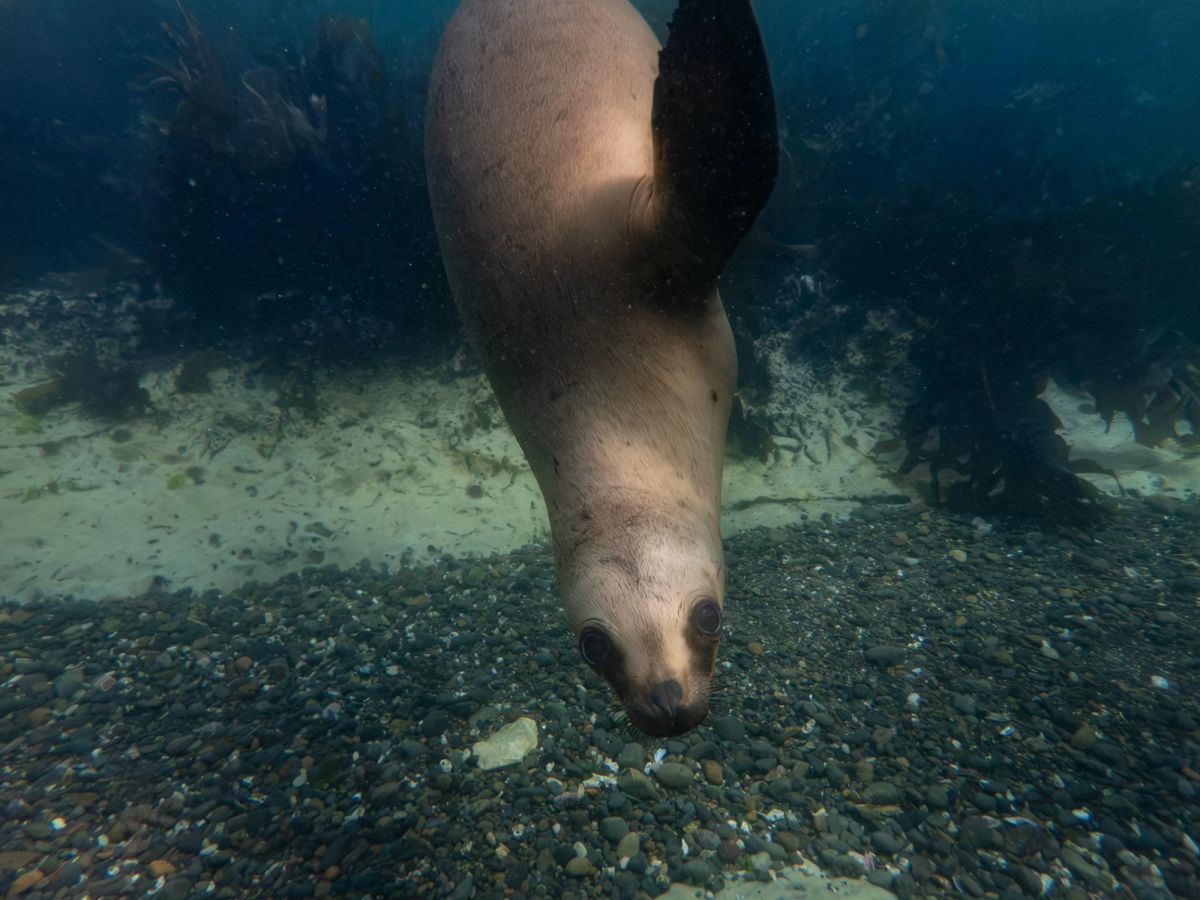 underwater